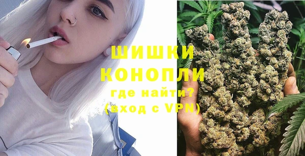 амф Вязьма