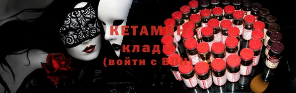 ПСИЛОЦИБИНОВЫЕ ГРИБЫ Горно-Алтайск
