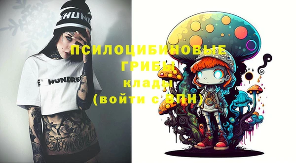 амф Вязьма