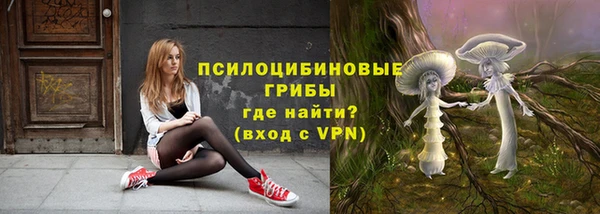амф Вязьма